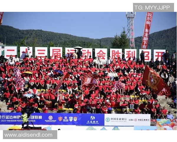 足球少年崛起之路：从街头到绿茵场的奋斗与荣耀